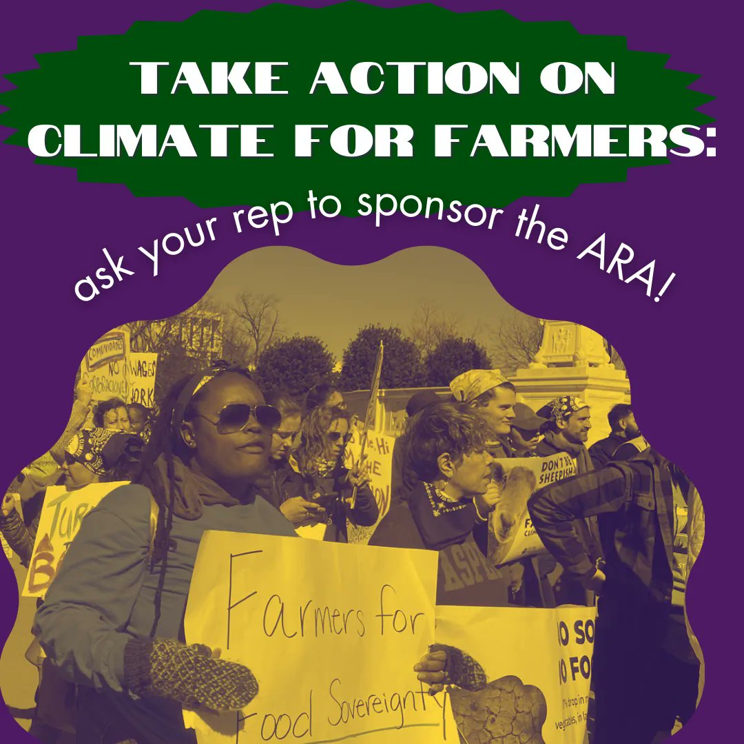 Marbleseed tweet media