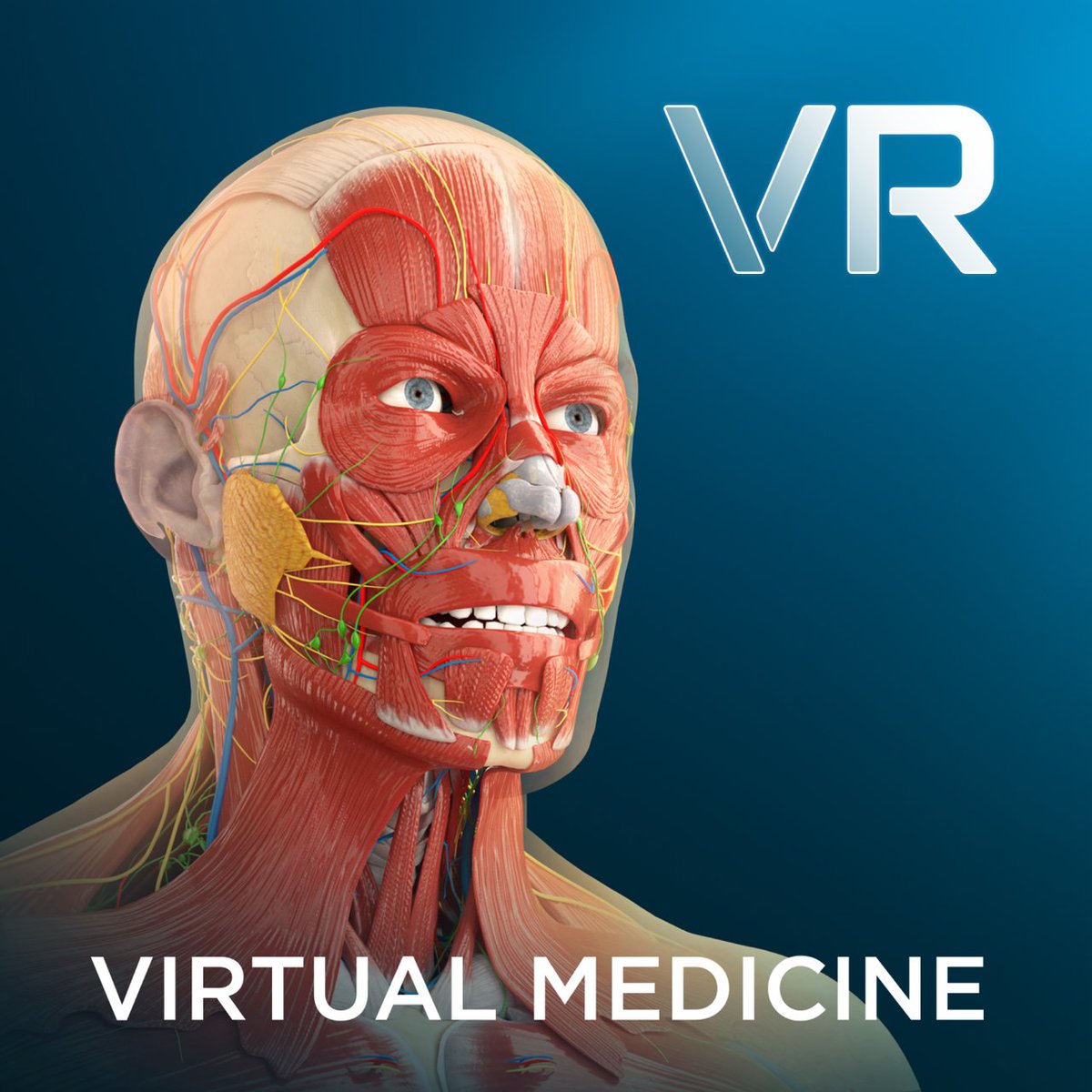 PICO XR on Twitter "Explore Human Anatomy VR, designed to be the most