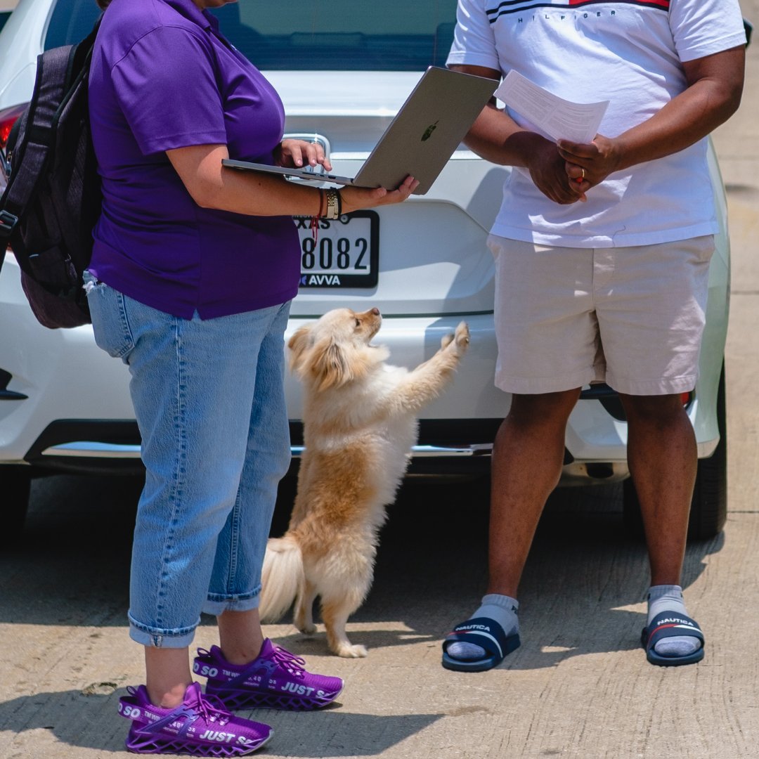 driveavva's tweet photo. Our favorite kind of delivery 💜🐶 Find the perfect AVVA for you and your shotgun rider ➡️➡️➡️ LINK IN BIO

#DriveAVVA #NewCar #CarLover #DitchTheDealership #DogsofInstagram https://t.co/s9y47YngYj