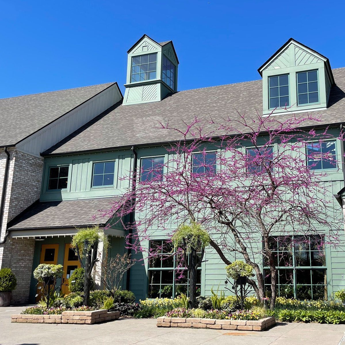 FioreTrees's tweet image. #FioreTrees make a nice addition to the other landscape in and around your property, or in this case an Arboretum! Standing all and proud! #fiore #fioretrees #Minnesota #mn #minny