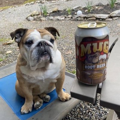 devin_labelle's tweet photo. #NewProfilePic https://t.co/d8N26WYBj6