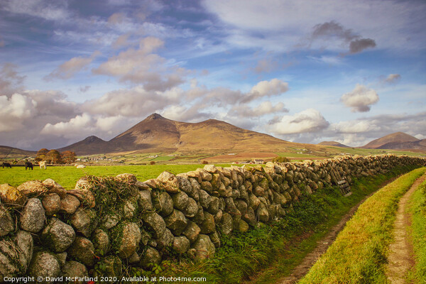 Photo4mecom's tweet photo. Great news for David on selling #MountainsOfMourne #PictureBoard of https://t.co/w6saE3ymjG https://t.co/KPlZhFPpiM