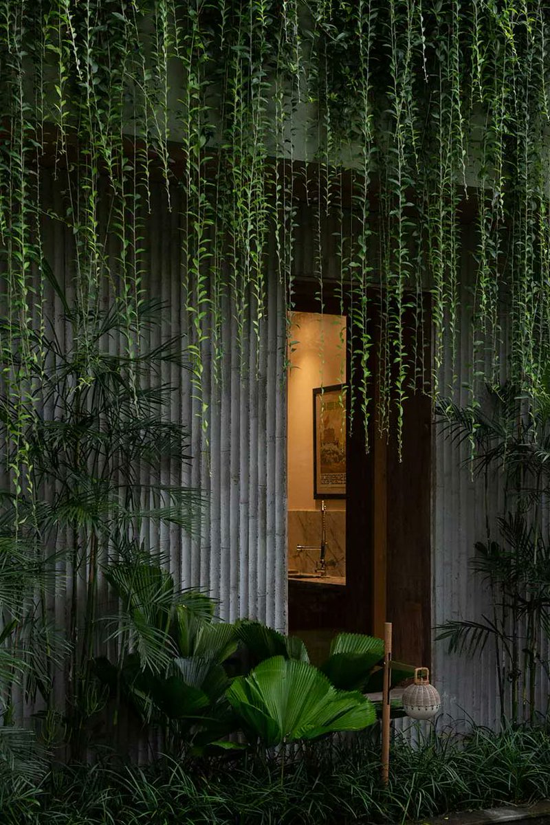designboom's tweet photo. perched within a bali's forest, the ravine dwelling by @substanceworks blurs the line between indoor &amp; outdoor https://t.co/5vcPMNyxl7 https://t.co/Y6EJvvahQf