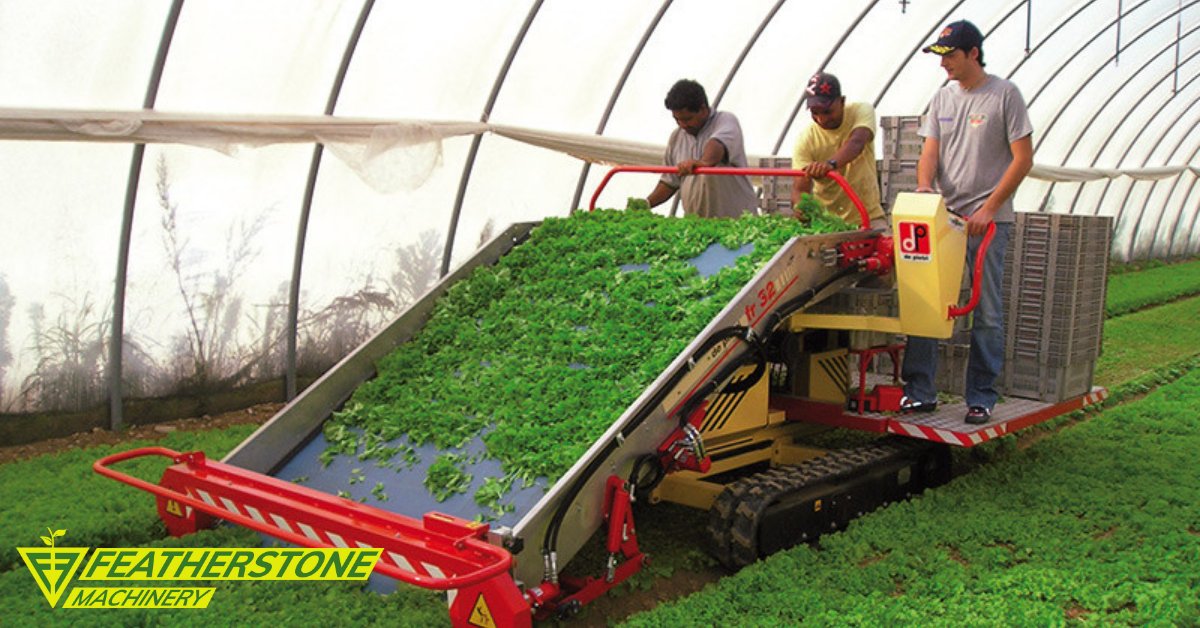 As a UK distributor of De Pietri's Horticultural Machines, we can provide innovative and automated solutions for growers in the UK to reduce their labour demand. Visit our website now to get in touch. featherstonemachinery.co.uk/contact-us/