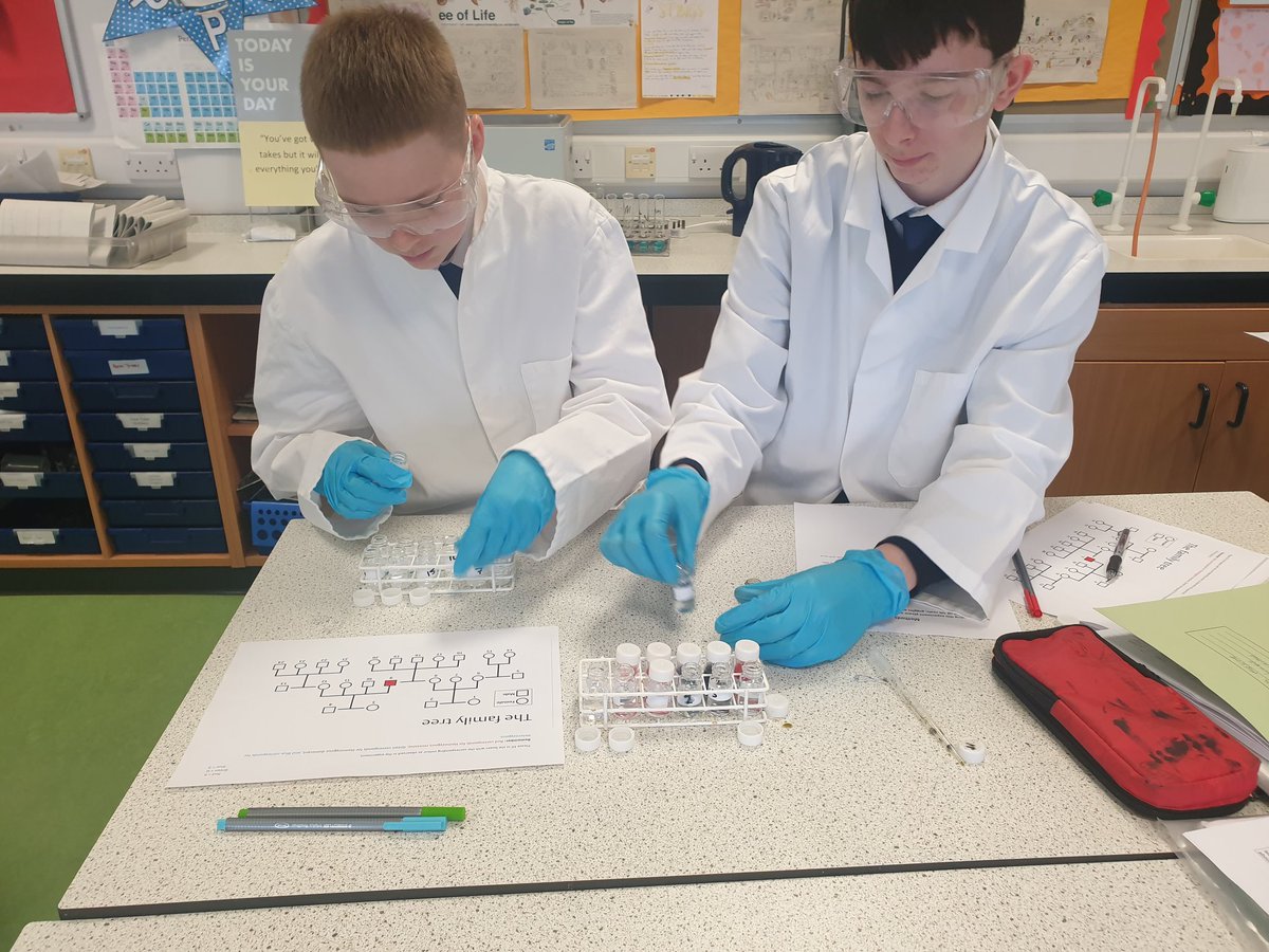 Our biologists carrying out an experiment to practice Mendelian genetics. With thanks to Josh from <a href="/EdinburghNapier/">Edinburgh Napier University</a> for visiting us! 
<a href="/knoxacademy/">Knox Academy</a> <a href="/KnoxScience/">Knox Academy - Science Faculty</a>