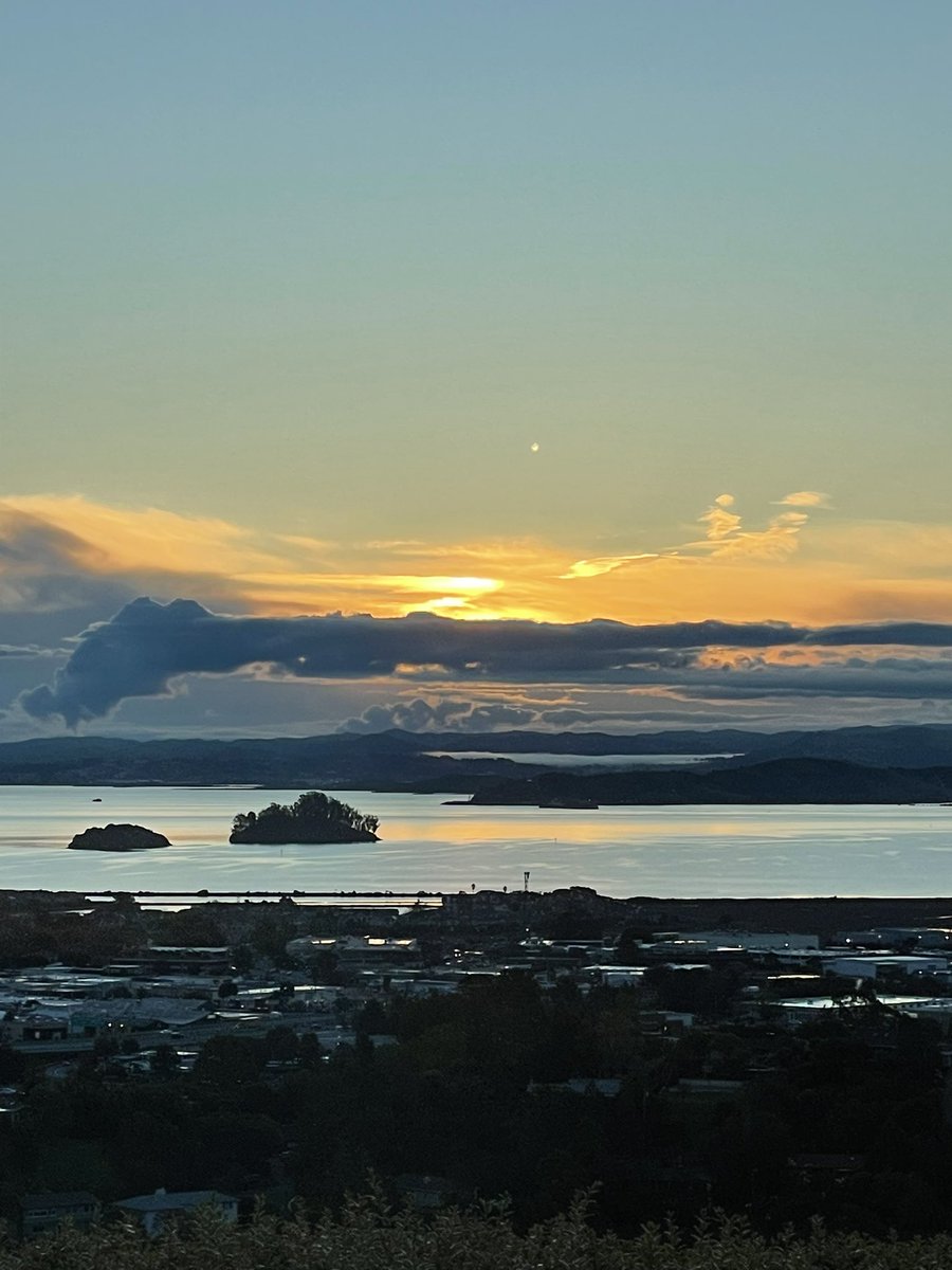 Thomas Henthorne tweet media