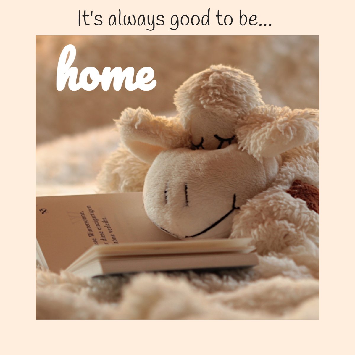1HappyREPro's tweet image. Where the heart is... 🏡 ❤️

#goodtobehome    #happy    #goodfeeling    #goodfeelings    #goodquote    #goodthoughts