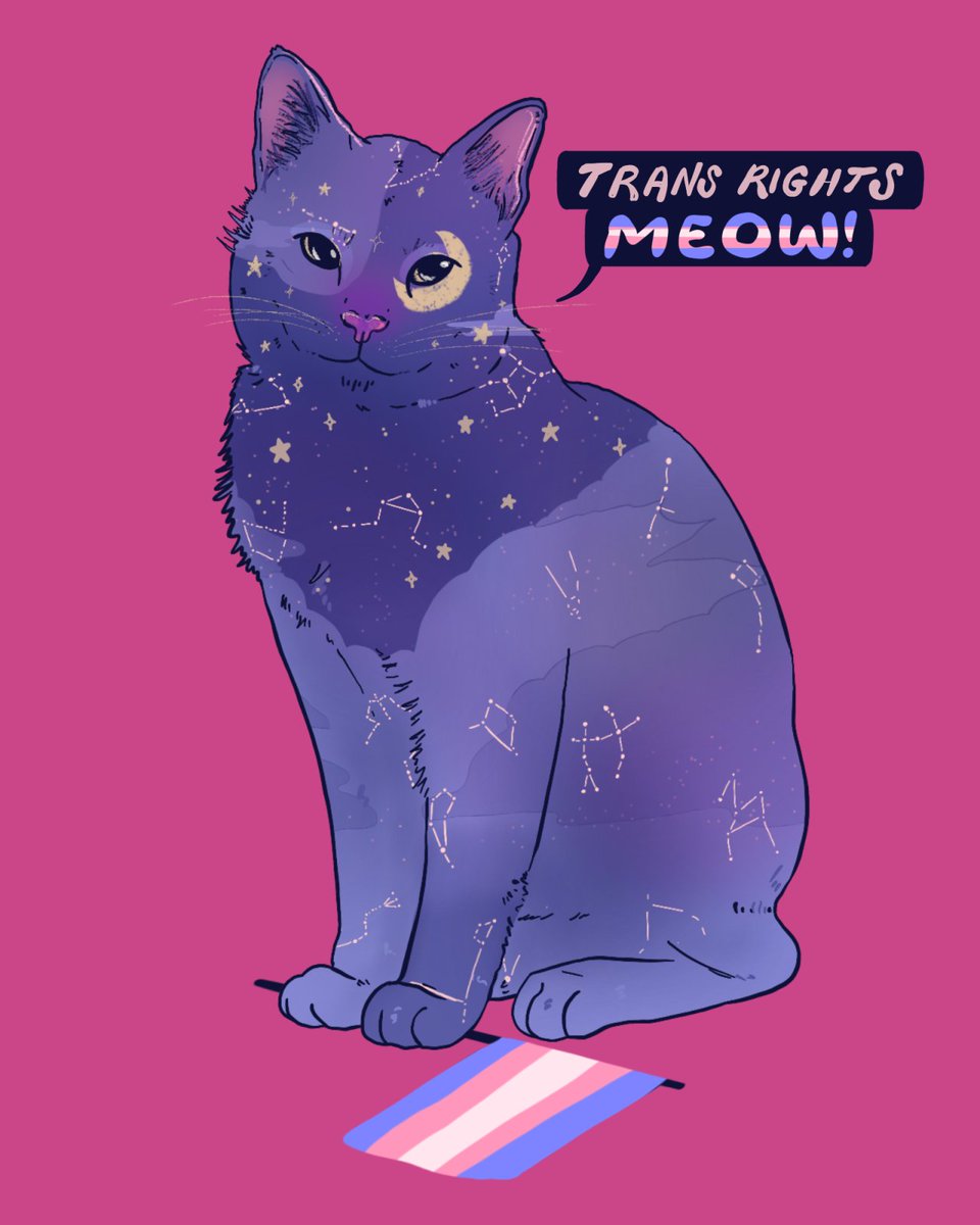 🐱