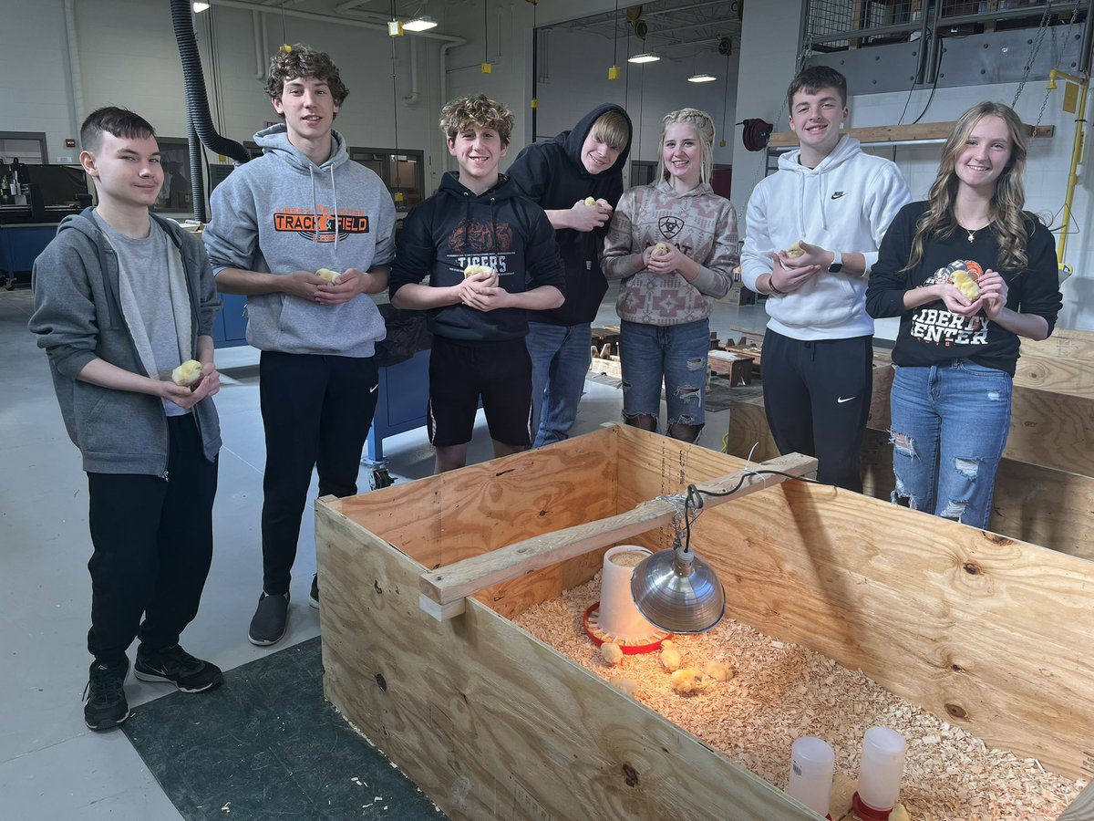 LCFFA1's tweet photo. Our two sections of our Animal and Plant class have some visitors for a few weeks. They are raising Meat chicks while learning about quality assurance and disease control, rate of gain, and how different crude protein percent feeds impact growth! #OhioFFA #LCFFA #PositivelyLC https://t.co/G8kkdk1yT6