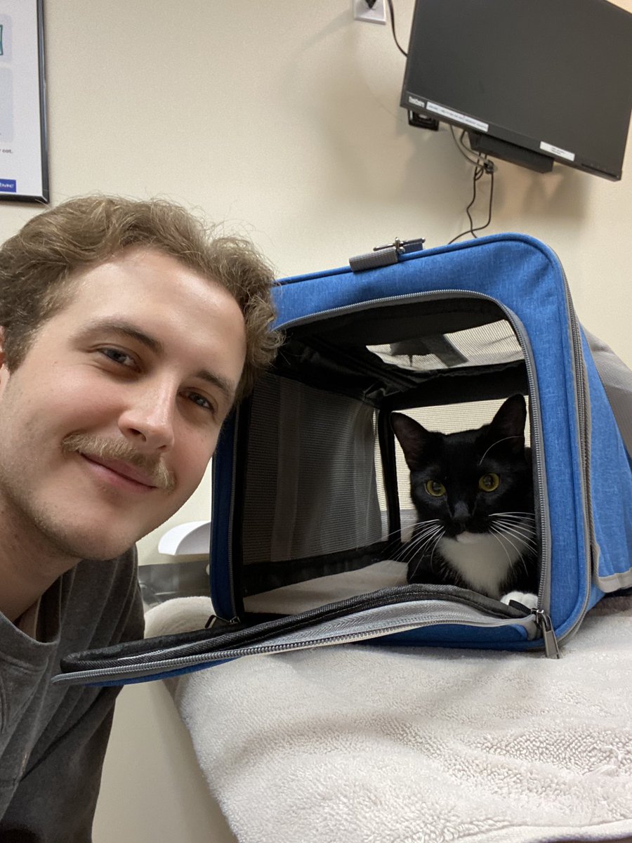 selectivecouch's tweet image. At the vet! #SickDay