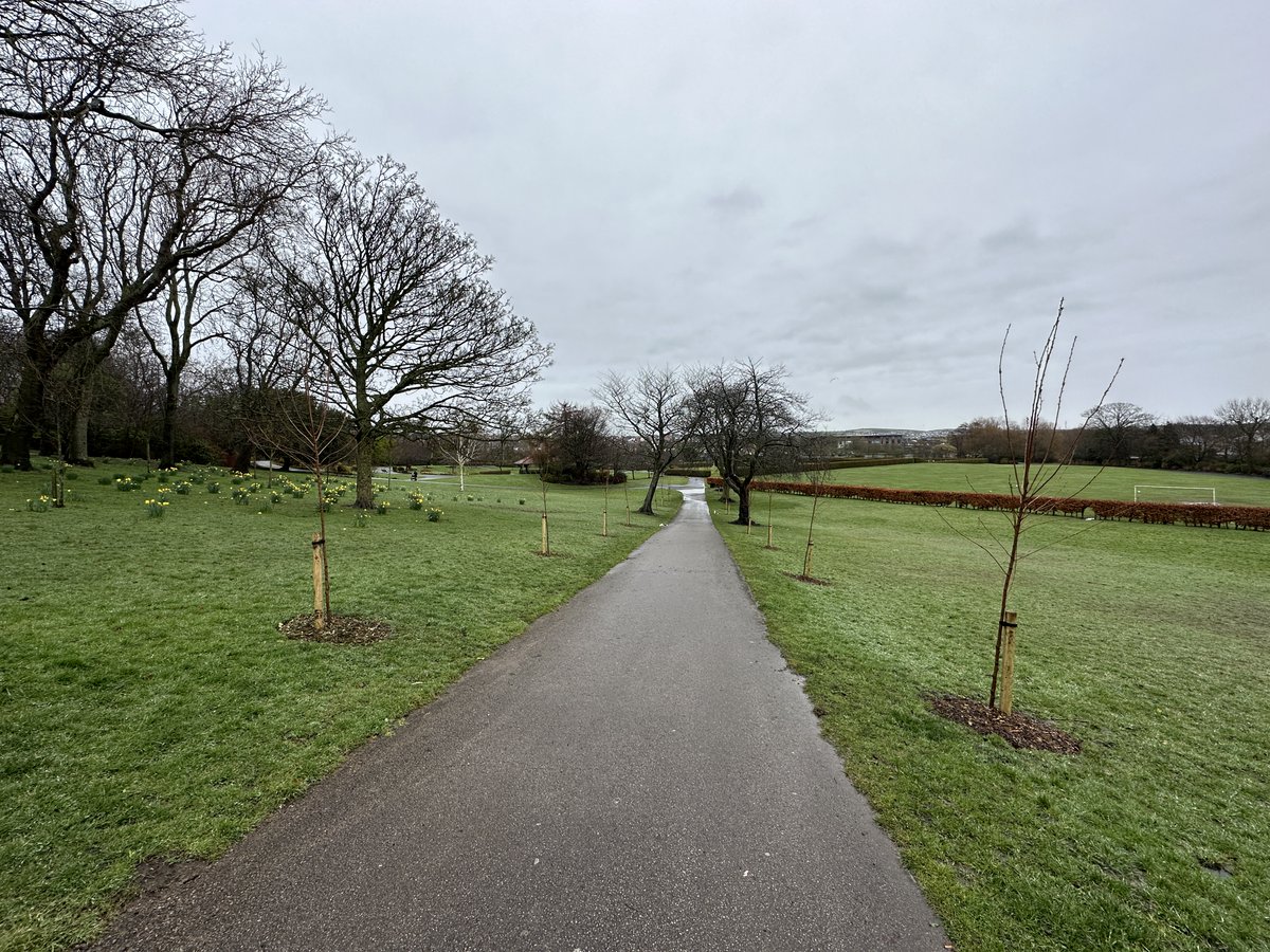 An avenue of flowering cherry trees has been planted in Barrow Park, along with a small woodland area near to an existing tree line and hedgerows to help develop the area as a natural habitat for wildlife. Full story: barrowbc.gov.uk/news/cumbria-c…