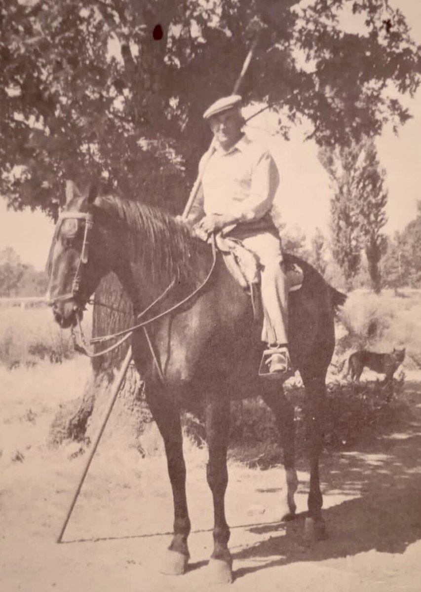 Vicente Sánchez 🇪🇸⚔️ tweet media