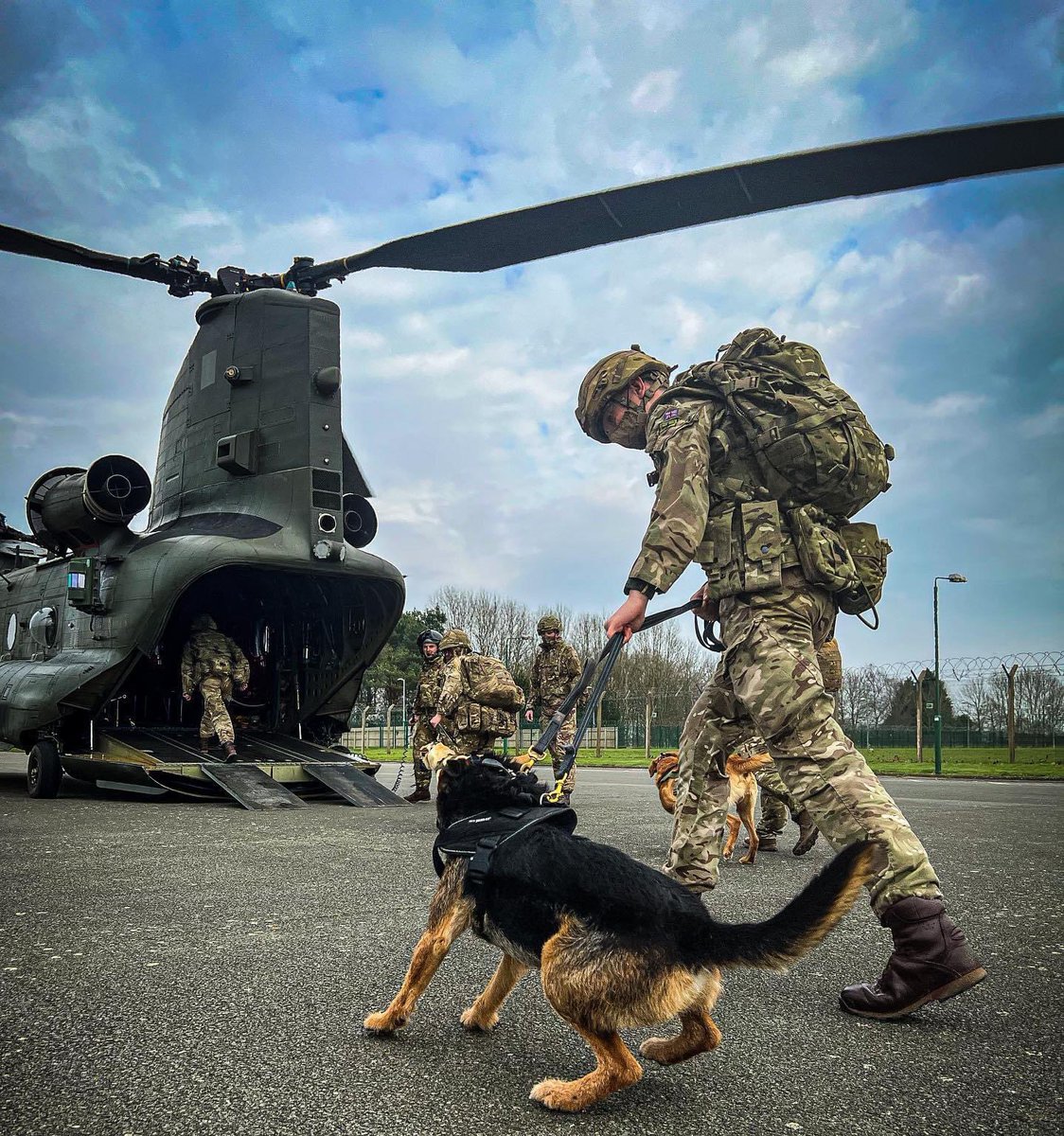 The Royal Army Veterinary Corps - 🐾 One of the many Job roles provided in the Army Medical Corps. As a Dog Handler you can specialise in.. - Protection - Vehicle Search - High Assurance Search - Arms Explosive Search - Tracker @AMSCorpsCol @AMS_SM_1 @1MWD_Reg