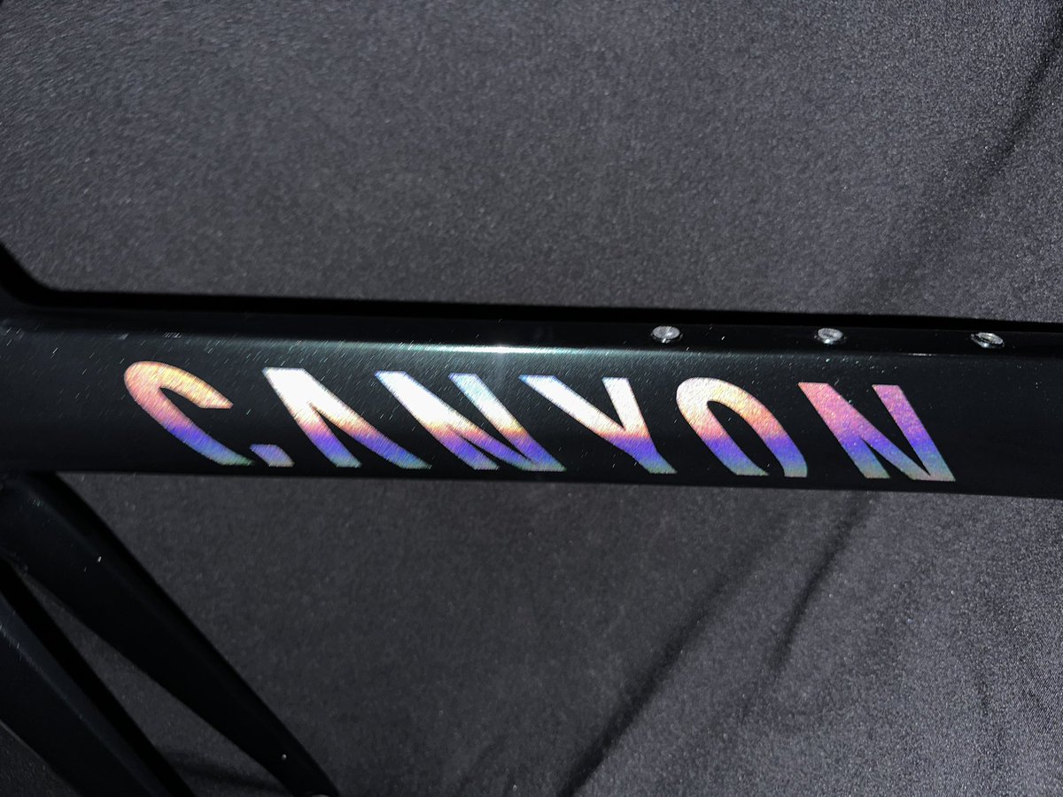 Bold Designs tweet media