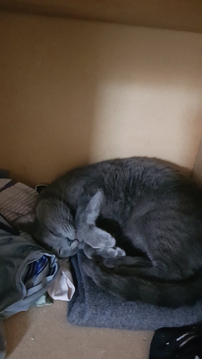 Todo dormido voy al ropero saco un buzo y me muerde.

El buzo: