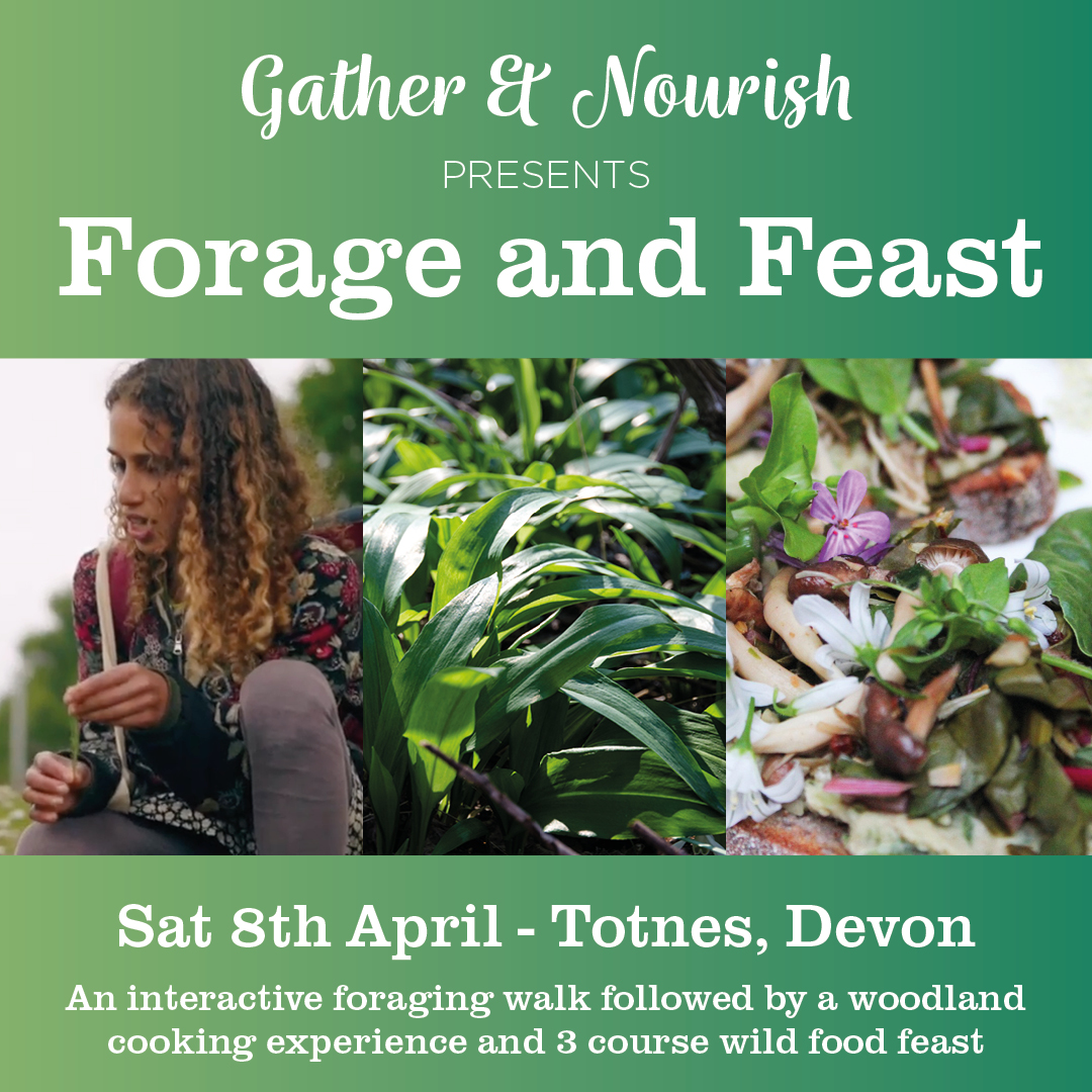 I've got a few places left on my walk: SAT 8th April (link in bio) 
And room for a few more followers on Twitter! <a href="/GwilymCPugh/">Gwilym C Pugh</a>  <a href="/DevonRamblers/">Devon Ramblers</a>  <a href="/TotallyWildUK/">Totally Wild UK</a>  <a href="/totnestimes/">Totnes Times</a>  <a href="/DartingtonTrust/">Dartington Trust</a>  <a href="/SharphamTrust/">The Sharpham Trust</a>  <a href="/GreenlifeTotnes/">Greenlife</a>  @TTTotnes  <a href="/visittotnes/">Visit Totnes</a>  <a href="/JacqiHodgson/">Jacqi Hodgson</a> <a href="/thekitchentabl/">Sima ✡️🇵🇸</a>