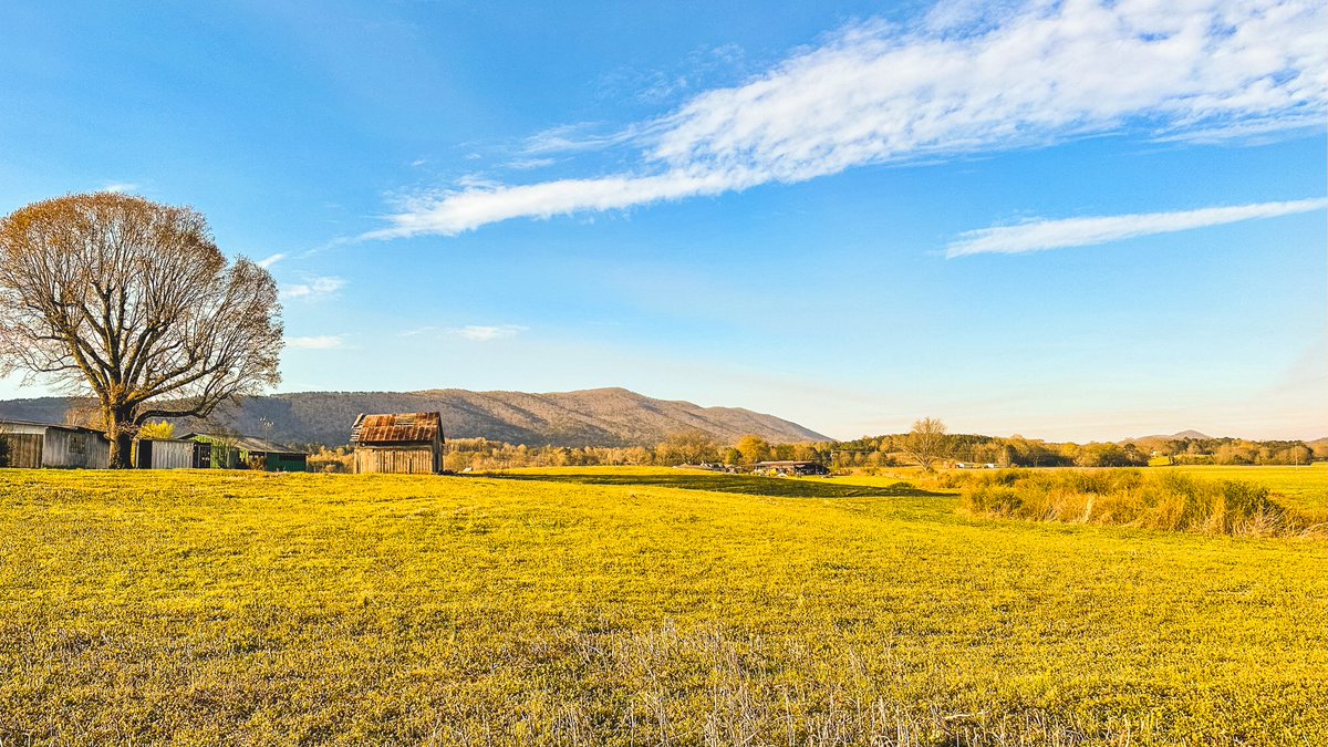 Southern Peaks Bike Tour: A Journey of Self-Discovery - part 2 is now live!

velo-orange.com/blogs/favorite…
