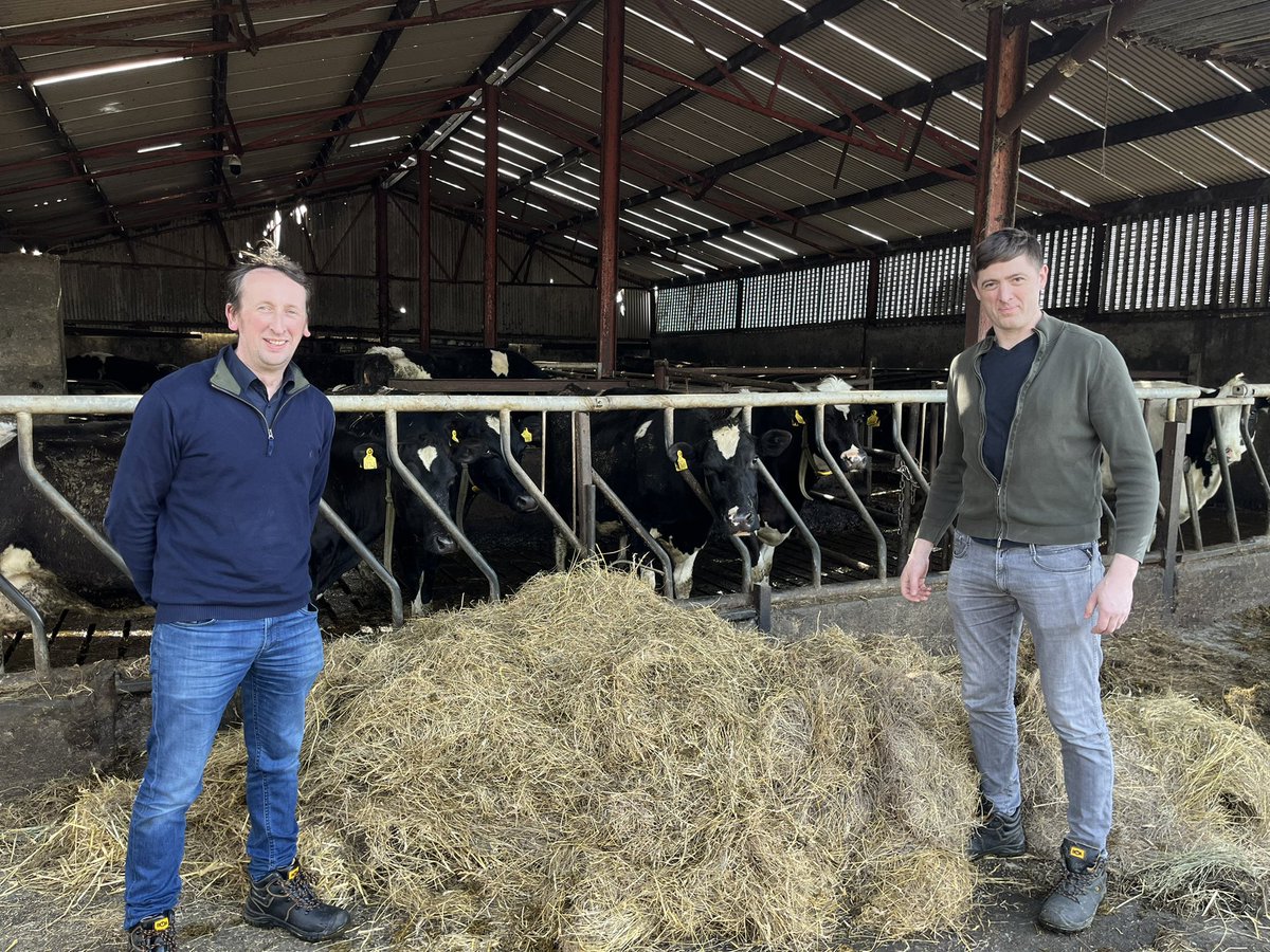 Barry Murphy tweet media