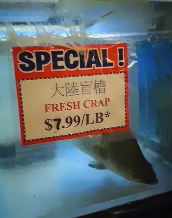 Poorly Translated Signs tweet media