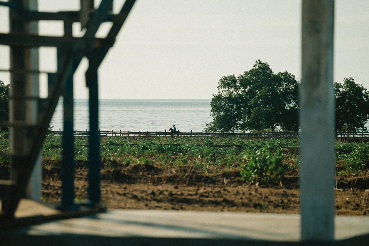 universe smiles upon you tweet media