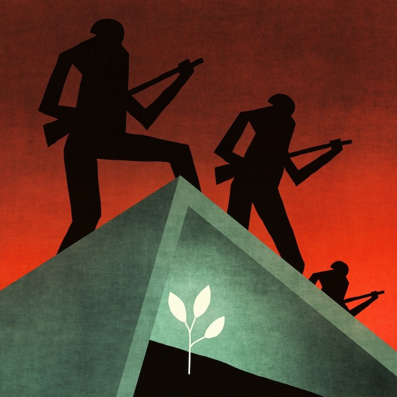 Toni Demuro tweet media