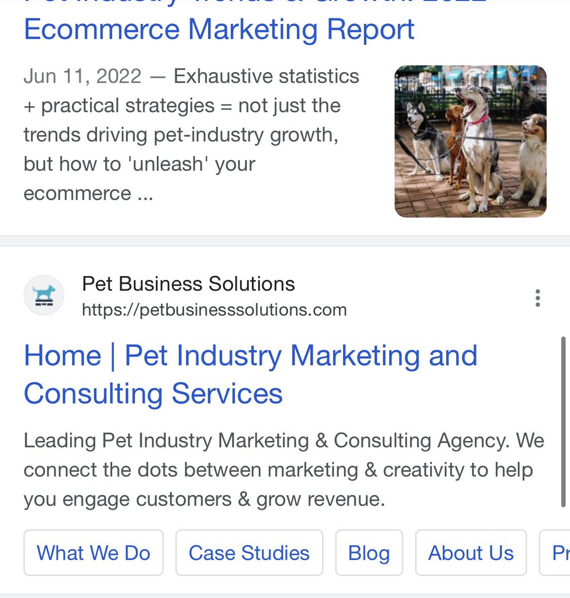 There is a clear reason we rank #1 in search for #petindustrymarketing. As the leader and innovator in the pet industry marketing for nearly a decade, it’s the pet startups to enterprise clients that are a big part of why we do what we do. Need #seo #webdevelopment help?