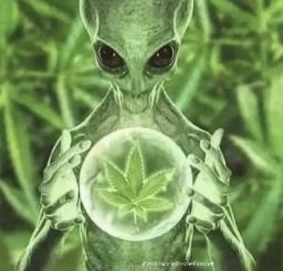 superskrong's tweet image. this is the guy that designs all the superskrong stuff btw