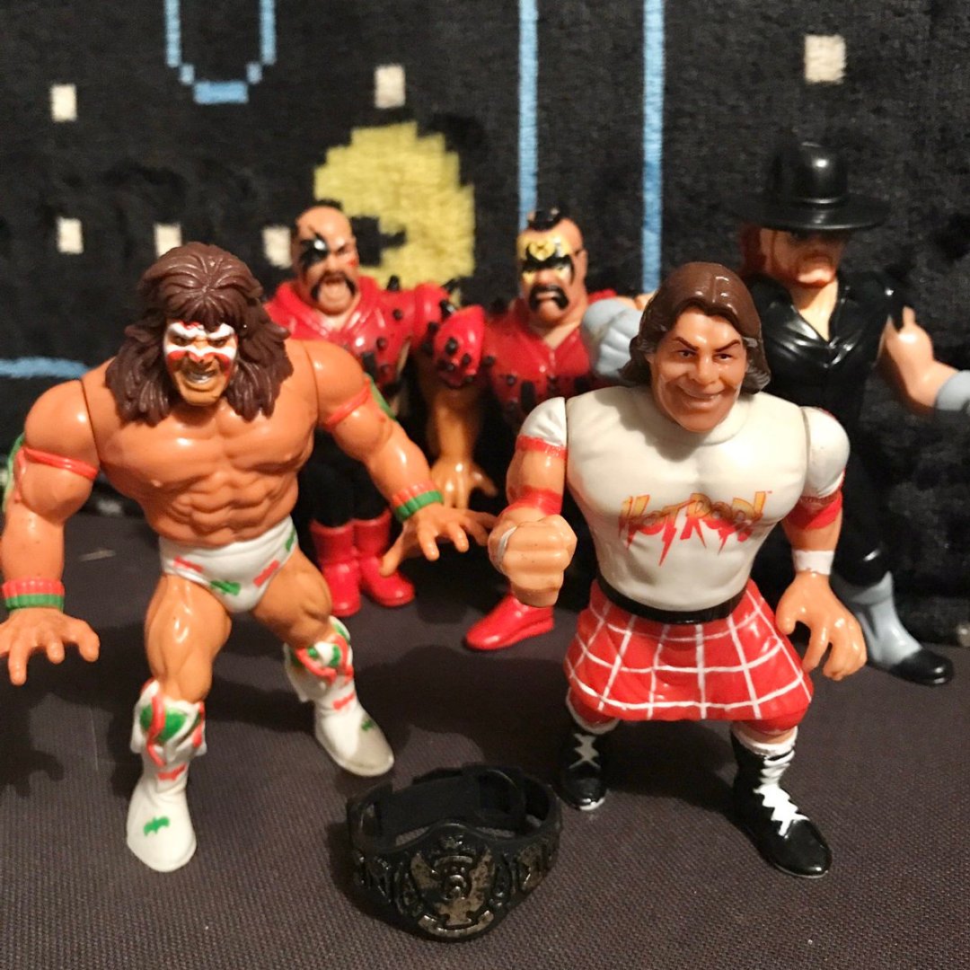 Some of my WWF Hasbro figs. Such a fun line to collect. 

#wwfhasbro #wrestlingfigs