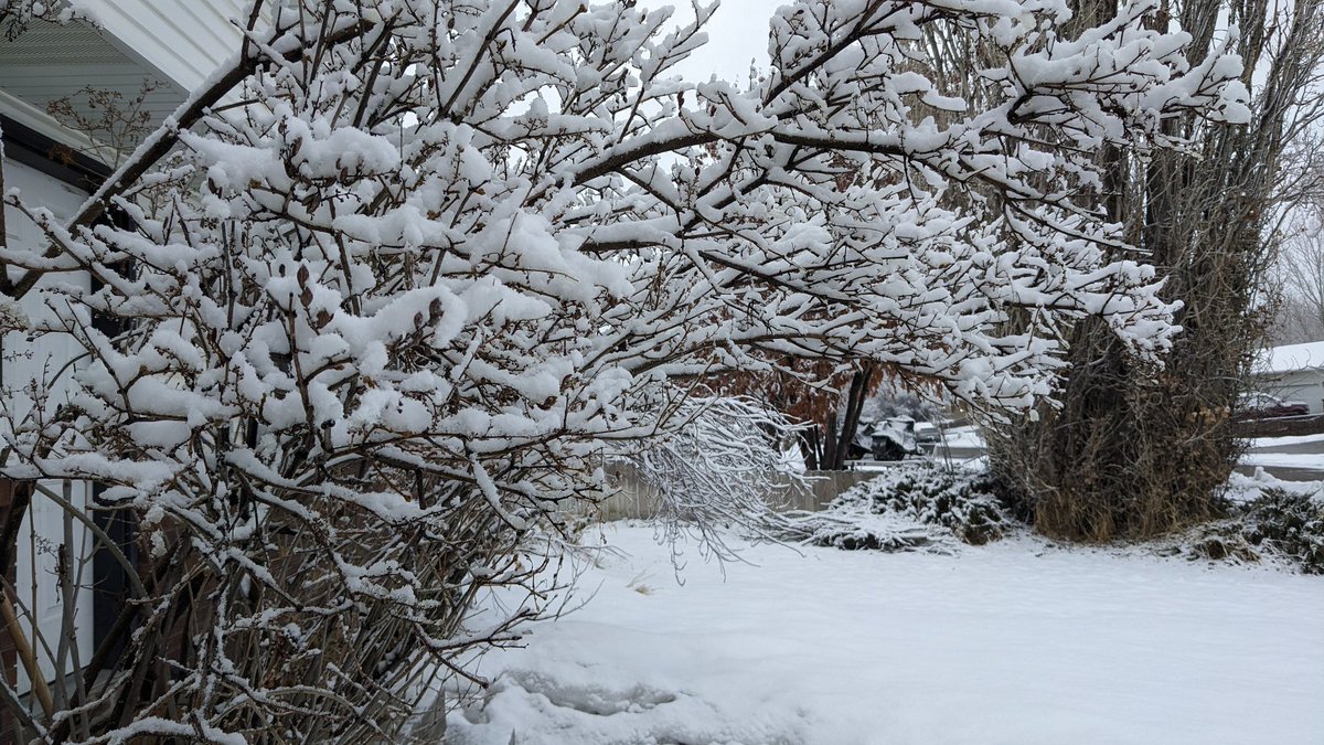 AnonymousMess's tweet image. Yesterday, I finally saw some grass peeking out of the solid mass of snow that has been my front lawn for the last 4 months. Woke up to this. Spring has been such a tease this year!