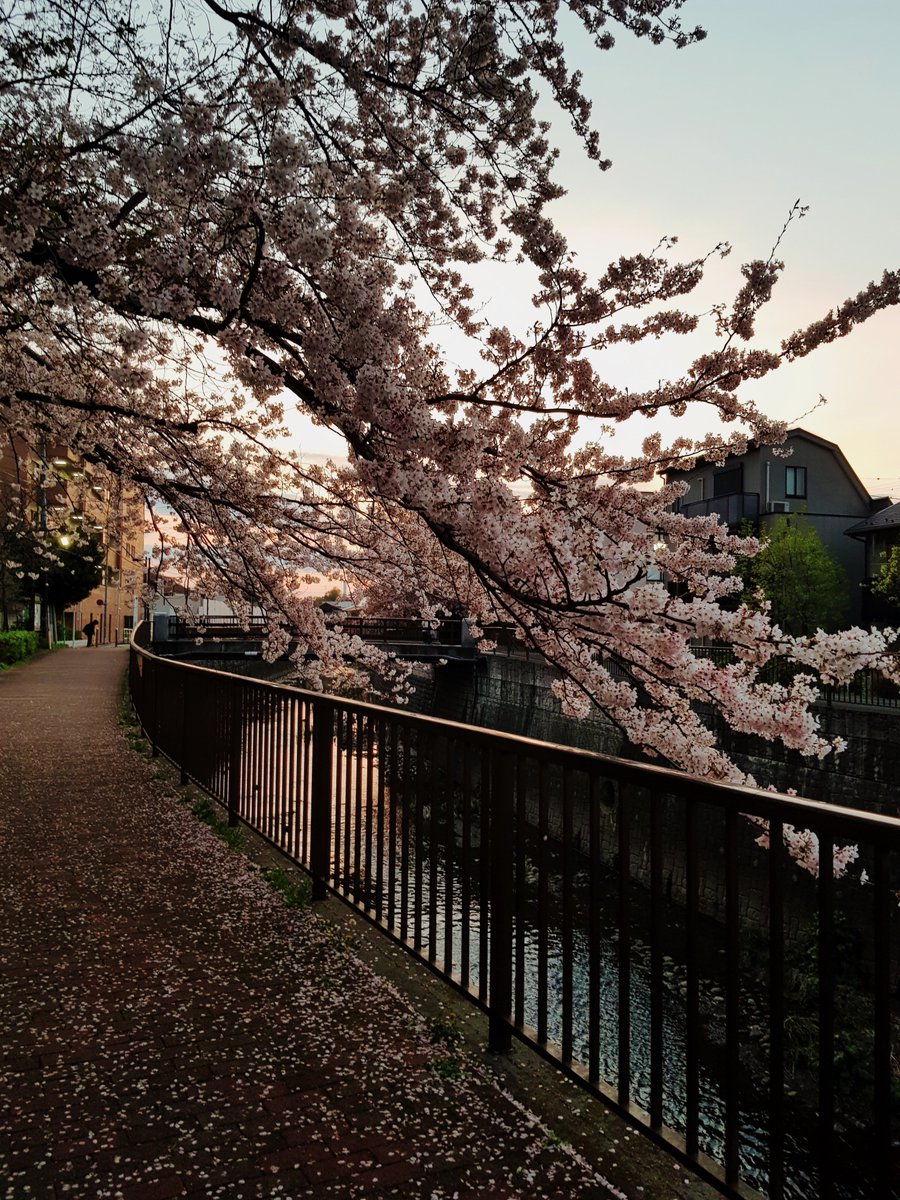 FURIN | COMMISSIONS OPEN (2/4) tweet media