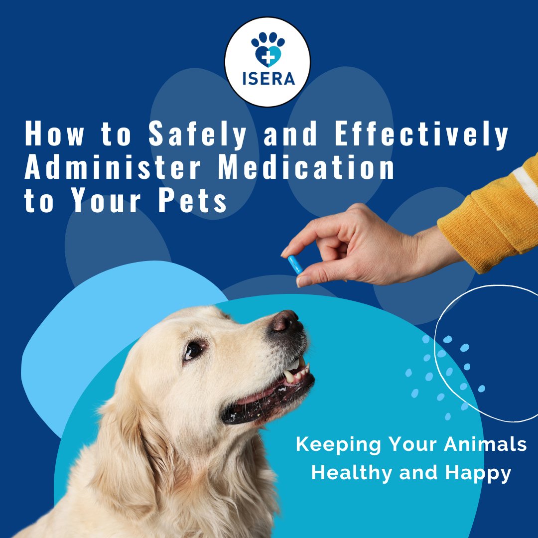 iseranimals's tweet photo. Administering #medication to your furry friend can be a challenge, but it's important for their #health and #happiness. 💊
Check out our latest post for tips on safely and effectively giving your #pets the medication they need! 
https://t.co/SKWmkSvOlr 👈

#pethealth #petcare https://t.co/j34C52RWu7