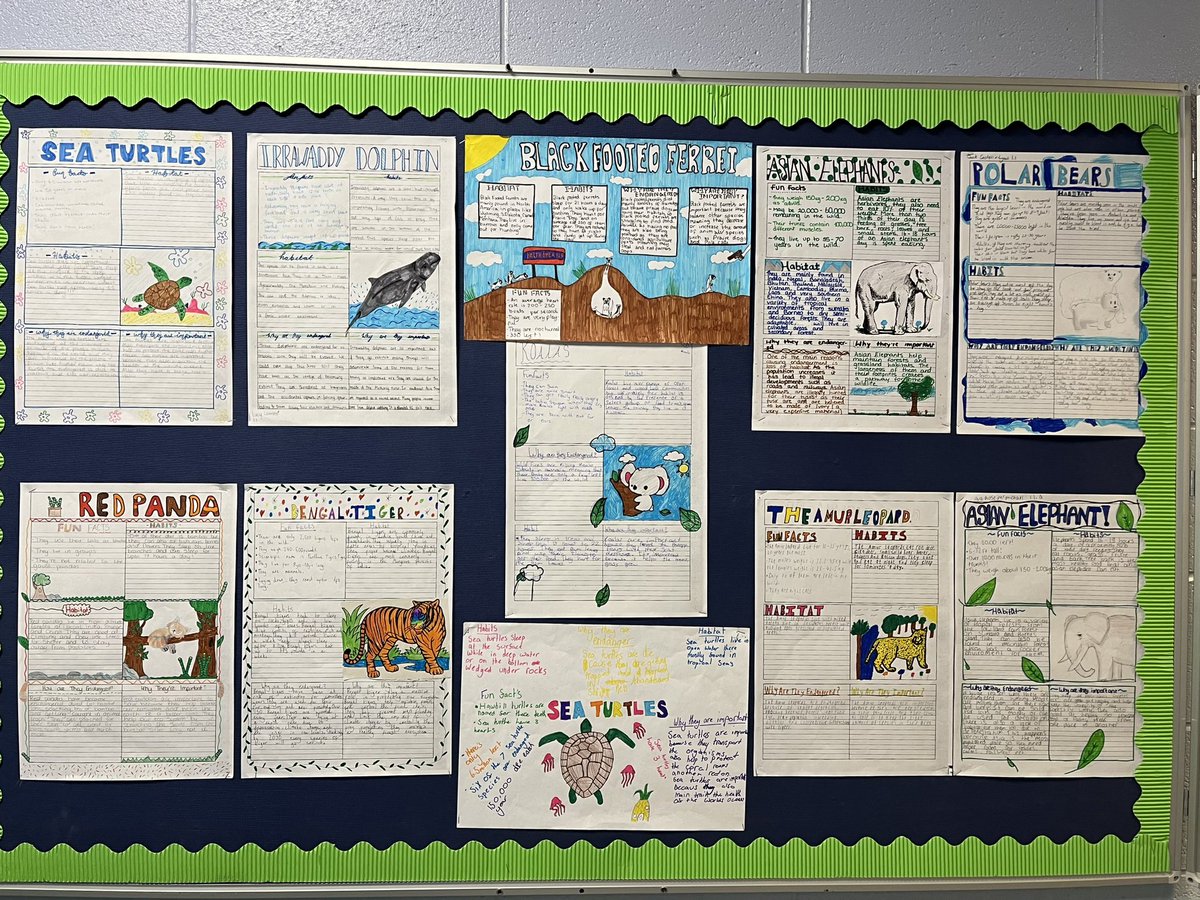 MissCWalker_'s tweet photo. 1.1 and 1.10 have been researching an endangered animal of their choice and have created some absolutely fantastic informative posters showcasing their skills! Very proud of all their hard work https://t.co/RYUV8gQTtn
