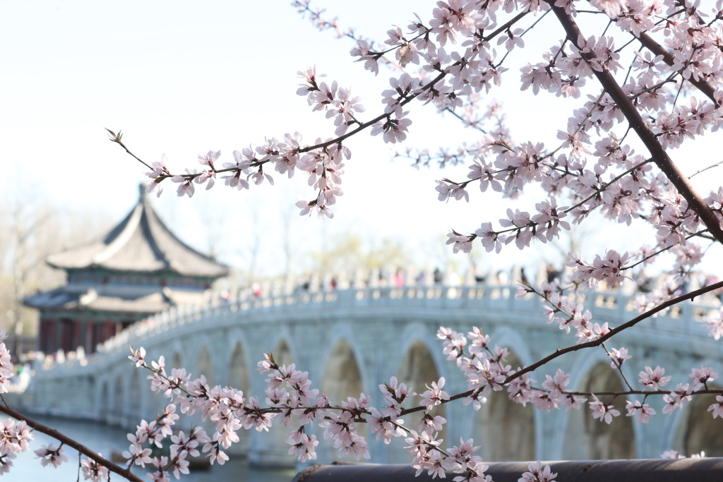 PDChinaLife's tweet photo. Spring blossoms brighten the landmark architectures in Beijing, China's capital city. https://t.co/wwuzGZT6jP