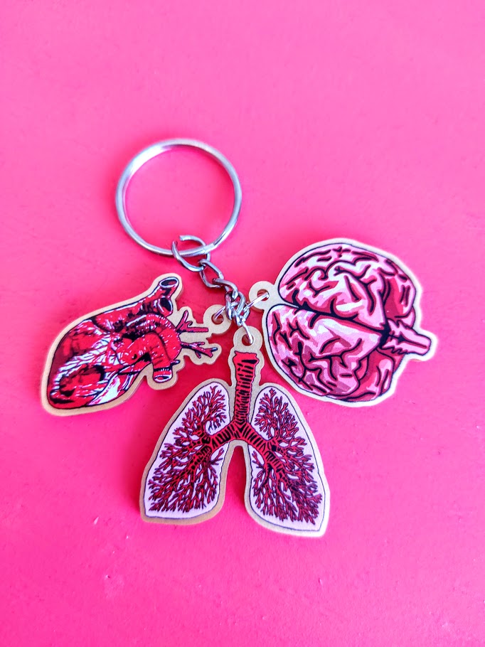 How cool are these Anatomy keyrings, my illustrations printed onto gold recycled acrylic,

Just £10 each

Link to shop below 👇