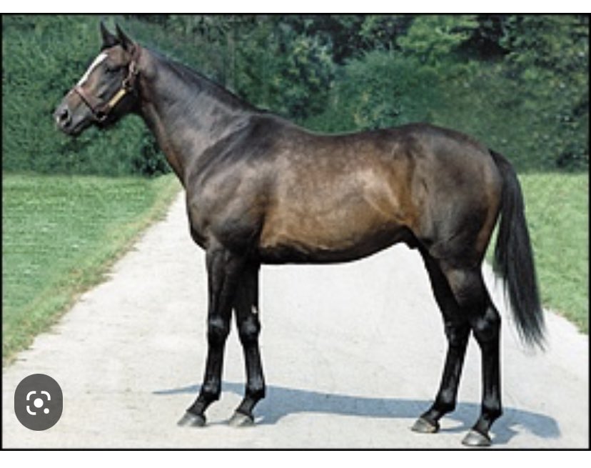 On this opening day of @MLB, let us honor the great sire ROBERTO, named after @Pirates legend Roberto Clemente. @darbydanfarm #halloffame #epsonderby