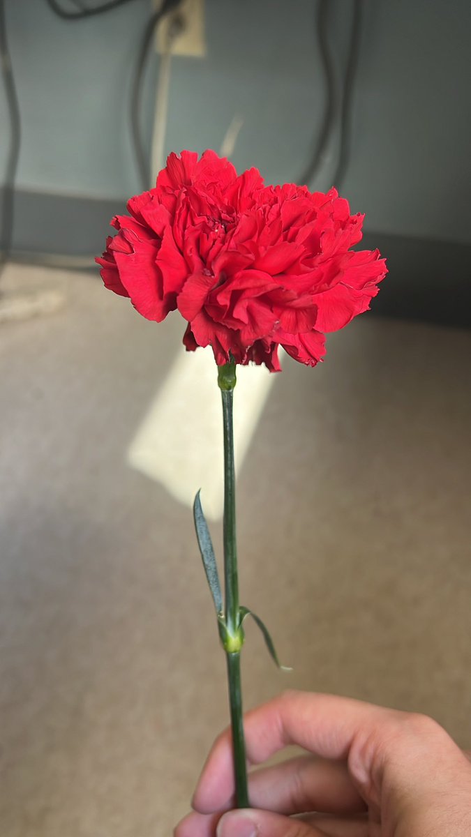 Moiz Ehtesham, MD tweet media