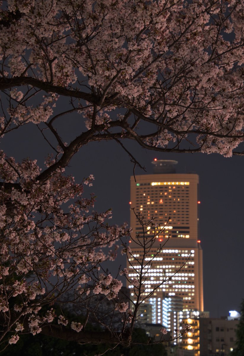 kawaiihanachiya's tweet photo. Spring has come https://t.co/FnP1Dh8djq