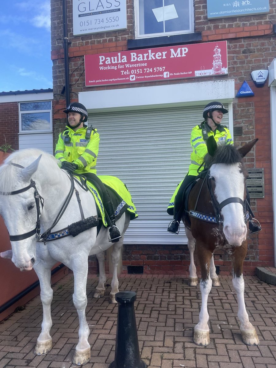 Thank you to <a href="/MerPolMounted/">Mer Pol Mounted</a> for visiting my office this afternoon. My team were so happy to meet Bo and Silver, as were several of my constituents who were passing by. 

Bo and Silver will be escorting the Grand National winner in a few weeks, so keep an eye out for them!!