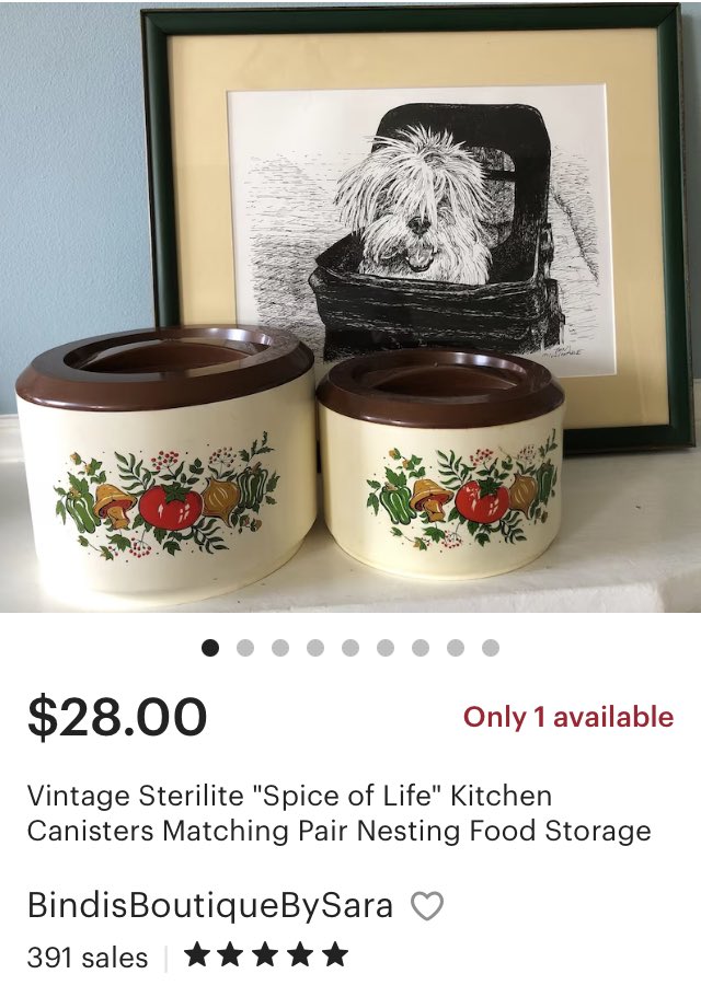 Sterilite “Spice of Life” canisters from the 1970s now in my #Etsy shop! #sterilite #vintage #spiceoflife #retrokitchen #seventies #1970s #bradybunchaesthetic #seventiesstyle