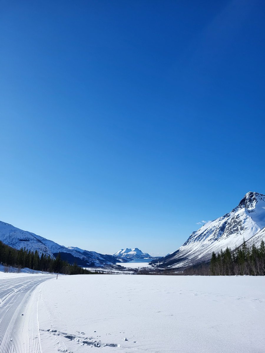 RenateBente's tweet photo. It's spring... somewhere 🤣 but nevermind, just enjoy 🥰
#SpringIsComing #skiing #snow #Mindfulness #Enjoy https://t.co/6g1CNxMpAX