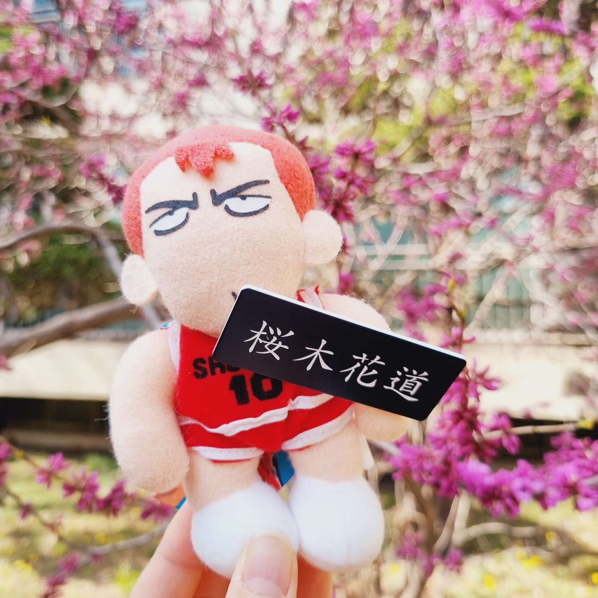 콩놀이 tweet media