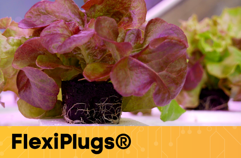 QuickPlugGlobal's tweet image. Did you know FlexiPlugs are certified kosher? They're food safe when used in conjunction with your food safety program. bit.ly/3C4POzw