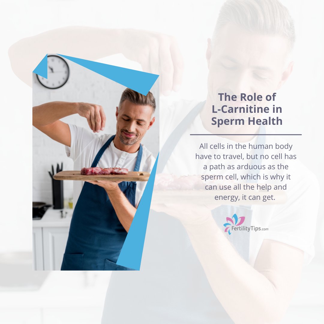 FertilityTips.com tweet media