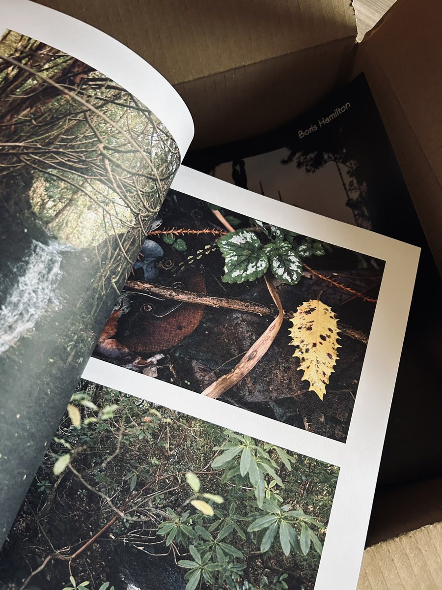 The Linn Botanic Garden tweet media