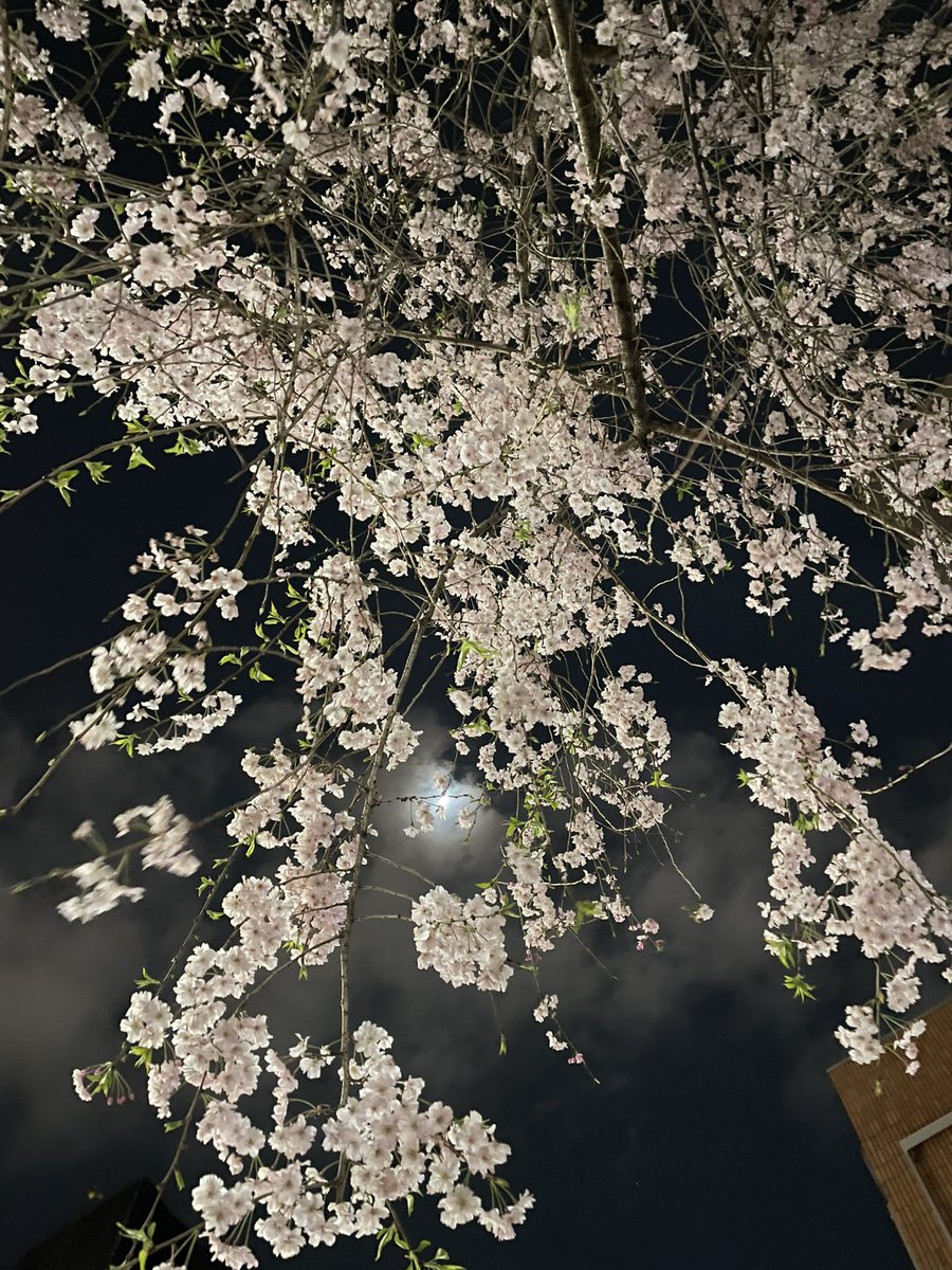 lalalalayu's tweet photo. 남준아 좋은 꿈 꾸세요🌸🌙

#RM 🤍
#RMarch
#SkyForNamjoon https://t.co/7MlqeFRH31