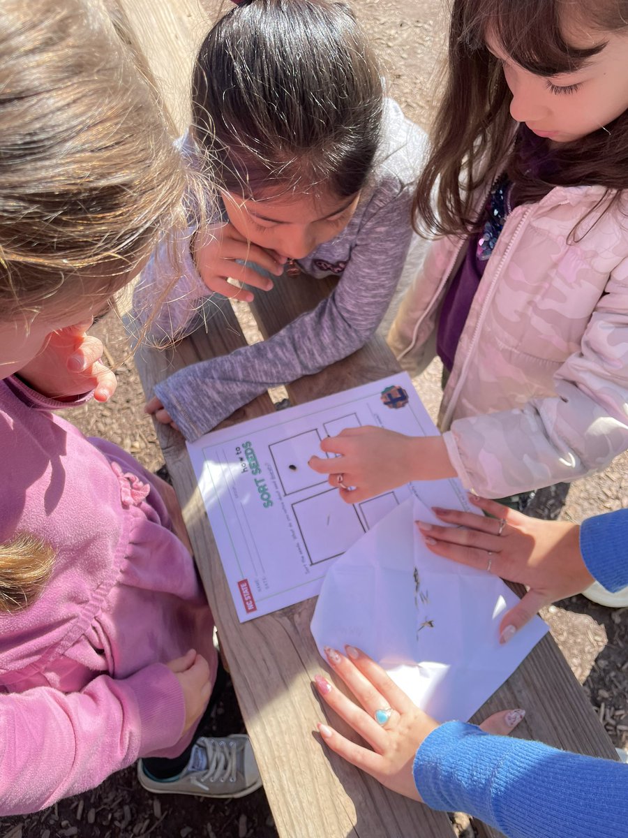 karen proctor tweet media