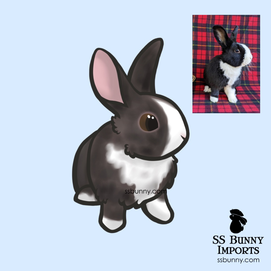 SSBunnyImports's tweet photo. Made a quick drawing of a previous foster that has since found a new bunny friend and home. :) #ssbunnyimports https://t.co/MQf3Lzzadx