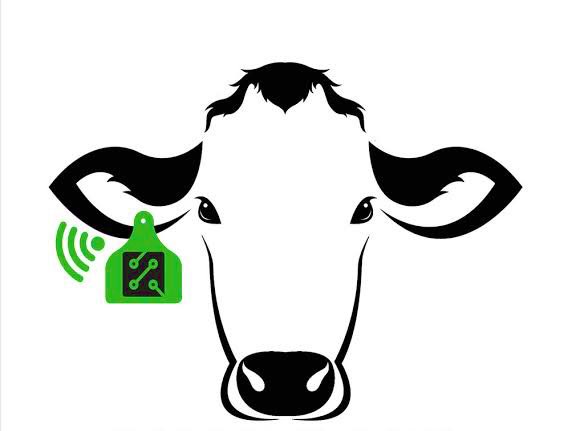 Imagine having cattle tags that would let you track, locate and hold information about your cows all time on your phone. We are bringing this technology here.