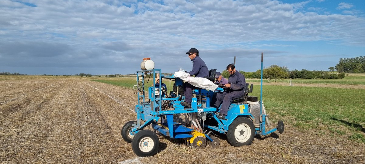 fegut82's tweet photo. Arrancamos las siembras!!! 
Buena humedad, excelente rastrojo, buen control de malezas. Todo dado para una buena evaluación de las líneas experimentales de raigras, raigras perenne y festucas !!! 
#INIA #MejoramientoGenetico 
#Pasturas #Estanzuela  #Equipo #Wintersteiger https://t.co/Jpf1DNM4nh