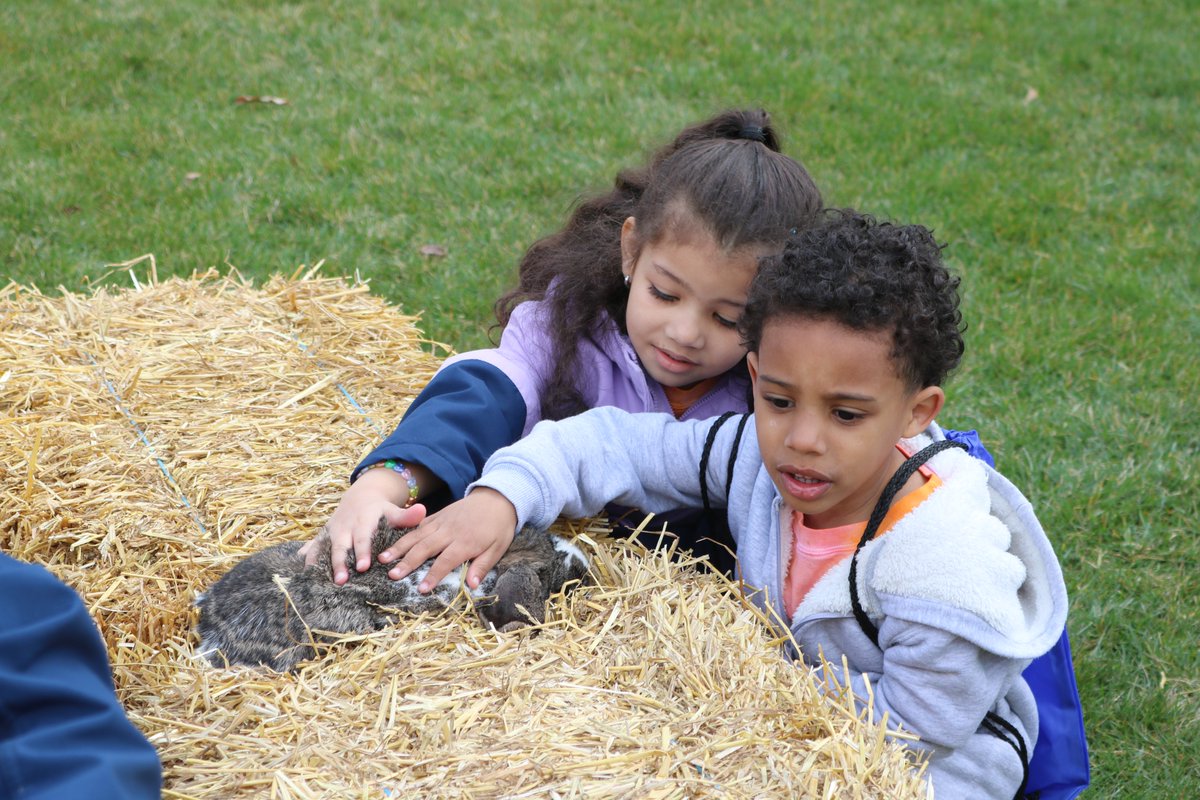 ProgressCouncil's tweet photo. We had an EGG-cellent time at the Governor's Residence this week. Thank you to @PreK4PA for inviting children from our Head Start program, to @GovernorShapiro for hosting us, and to our rock star team for traveling with our kiddos!

#Working4Children #IAmPreK #TeamCPC https://t.co/vjnrShDiGw